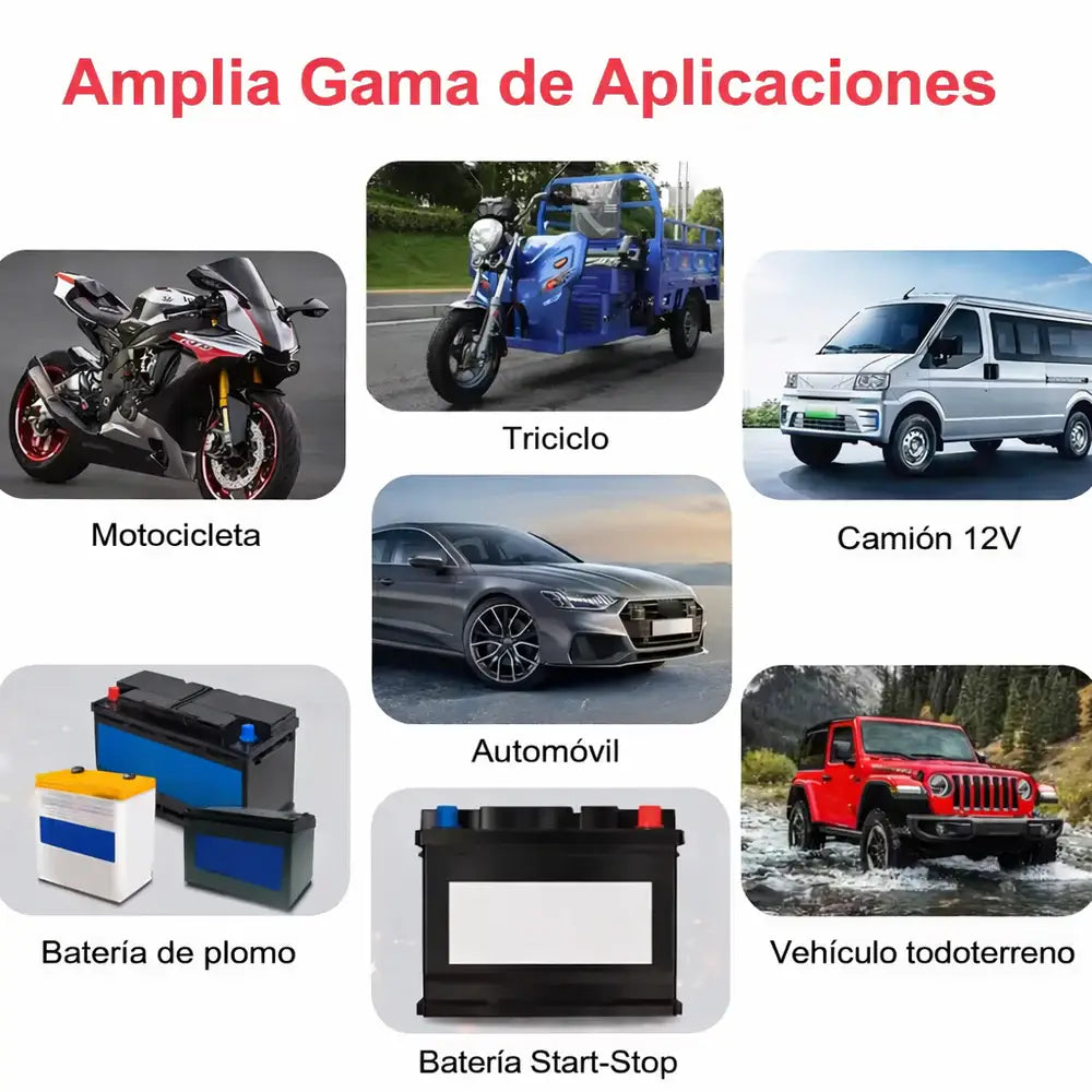 Cargador de Batería Inteligente 12V/24V para Carro, Moto y Camión