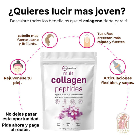 Producto