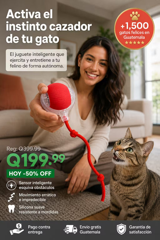 Pelota interactiva Gatos