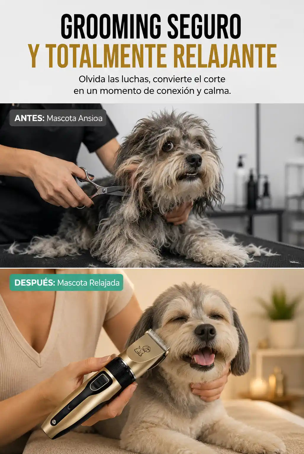 maquina-afeitar-perros-gatos-seccion-02.webp